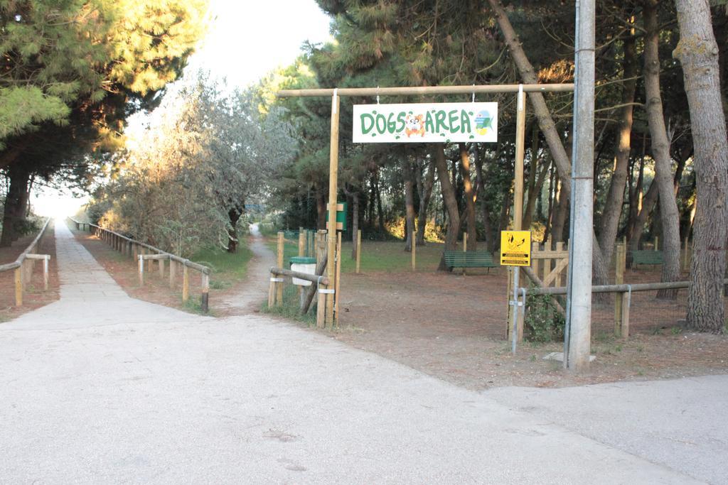 Mare E Pineta